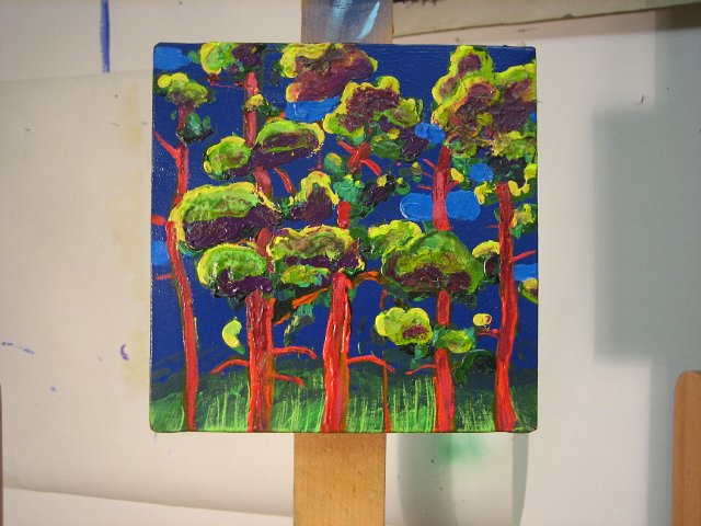 2010 borovice 20x20